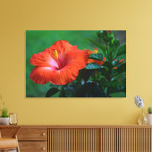 Orange Hibiskus Stretched Canvas Print Leinwanddruck (Insitu (Wohnzimmer))