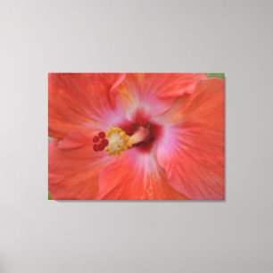 Orange Hibiskus Wrapped Canvas Leinwanddruck