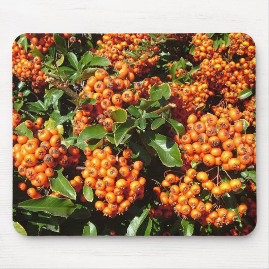 Orange Holly Berries Mousepad (Vorne)