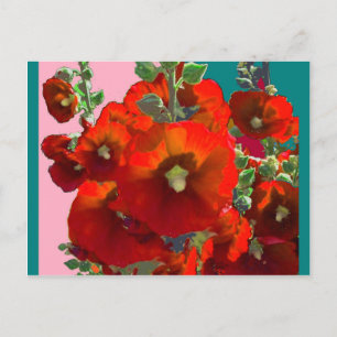 Orange Hollyhock Garden Geschenke Postkarte