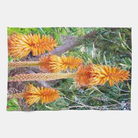 Orange Hot Poker Blume, Geschirrtuch (Horizontal)