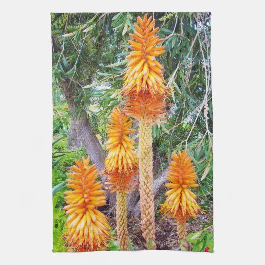 Orange Hot Poker Blume, Geschirrtuch (Vertikal)