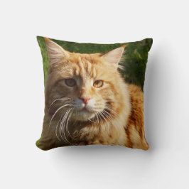 Orange House Cat Kissen