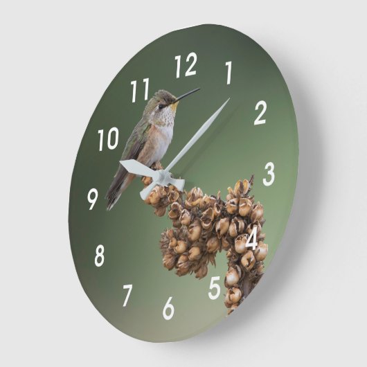 Orange Hummingbird  Große Wanduhr (Winkel)