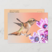 Orange Hummingbird & Purple Flowers Postkarte (Vorne/Hinten)