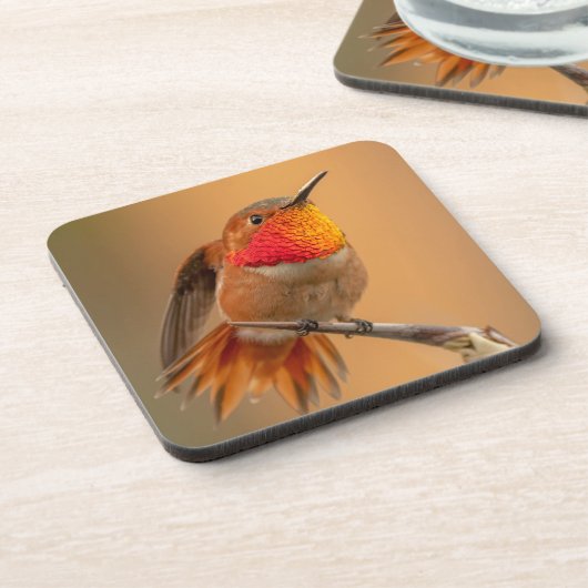 Orange Hummingbird & Ruffled Feathers Getränkeuntersetzer (Linke Seite)