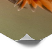 Orange Hummingbird & Ruffled Feathers Poster (Ecke)