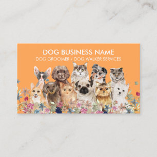 Orange Hunde Katzen Rassen Grooming-Service Visitenkarte