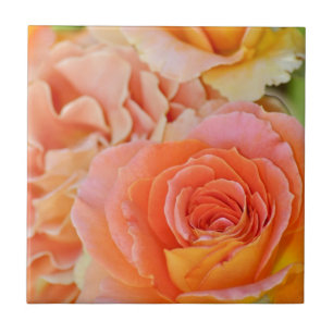 Orange Hybrid-Tee-Rose Fliese