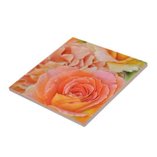 Orange Hybrid-Tee-Rose Fliese (Seite)