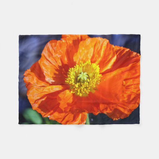 Orange Icelandic Poppy Fotografie Fleecedecke (Vorderseite (Horizontal))