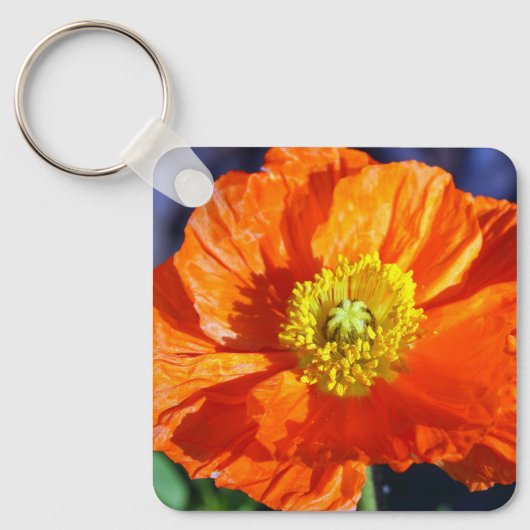 Orange Icelandic Poppy Photograph Keychain Schlüsselanhänger (Vorderseite)