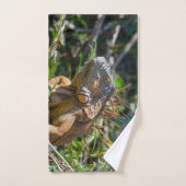 Orange Iguana, Belize Fotografie Badhandtuch Set (Handtuch)