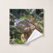 Orange Iguana, Belize Fotografie Badhandtuch Set (Waschlappen)