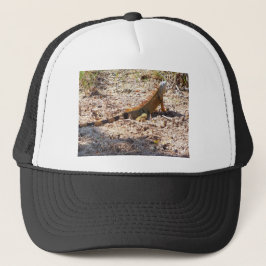 Orange Iguana jagt Truckerkappe