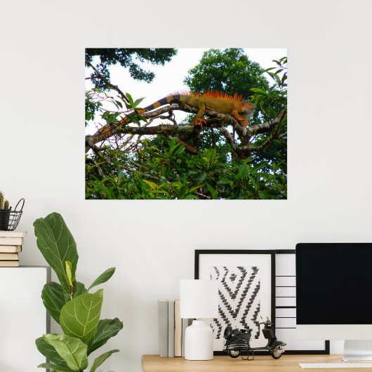 Orange Iguana Poster (Heimbüro)