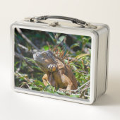 Orange Iguana, Wildlife Lizard Fotografie Metall Brotdose (Vorderseite)