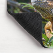 Orange Iguana, Wildlife Lizard Fotografie Mousepad (Ecke)