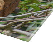 Orange Iguana, Wildlife Lizard Fotografie Schneidebrett (Ecke)