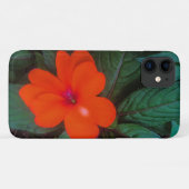 Orange Impatiens Blume Case-Mate iPhone Hülle (Rückseite (Horizontal))