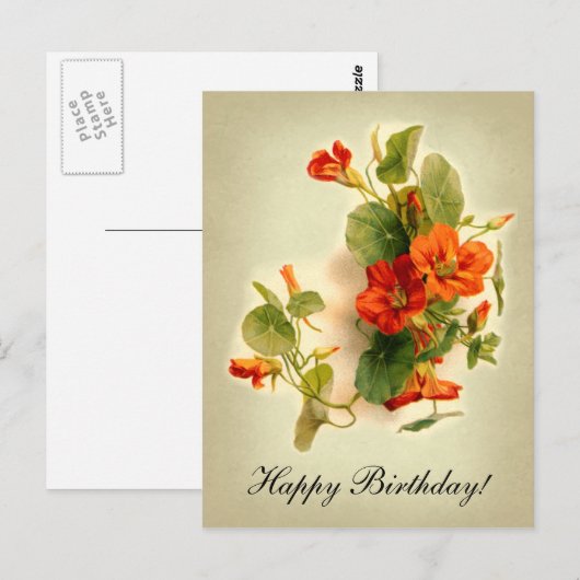 Orange Indian Cress Postkarte (Vorne/Hinten)