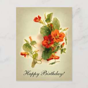 Orange Indian Cress Postkarte