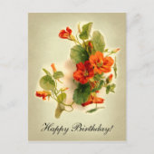 Orange Indian Cress Postkarte (Vorderseite)