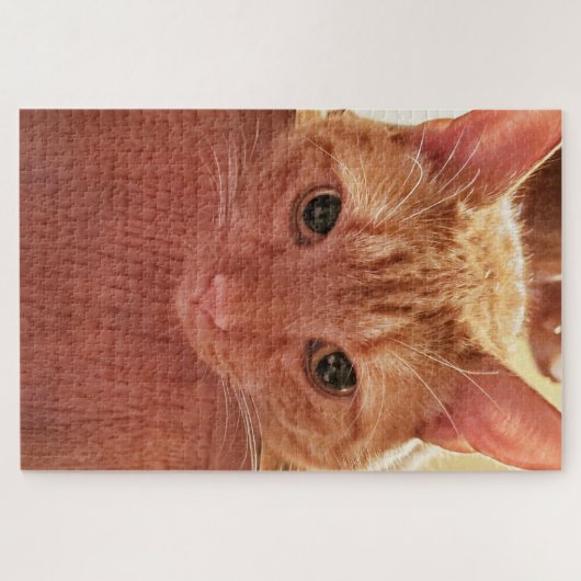Orange/Ingwer Niedlich und Fuzzy Tabby Cat Puzzle (Horizontal)