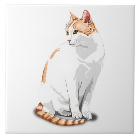 Orange Ingwer und weiße Katze Custom Fliese (Vorderseite)