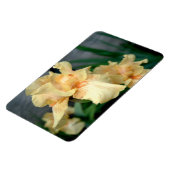 Orange Ire in einem Sommergarten Magnet (Linke Seite)