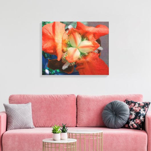 Orange Iris Leinwand (Insitu (Wohnzimmer))