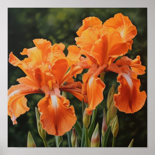 Orange Irische Blume Art Print Poster (Vorne)