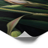 Orange Irische Blume Art Print Poster (Ecke)