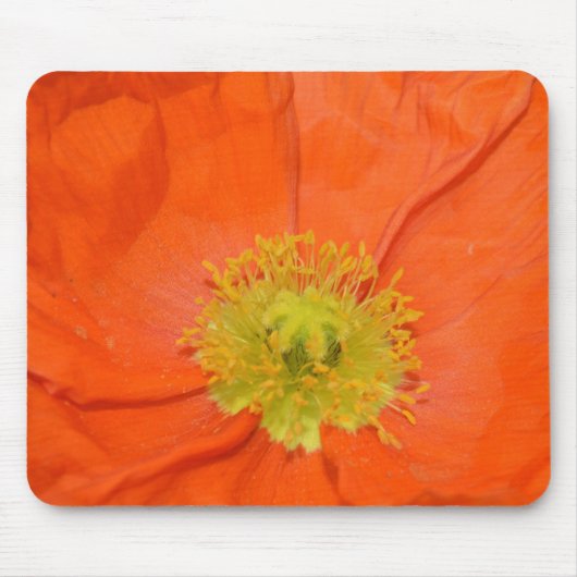 Orange Island-Mohnblume III Mousepad (Vorne)