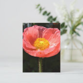 Orange Island Poppy II Postkarte (Stehend Vorderseite)