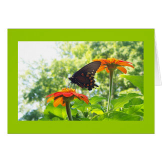 Orange ist meine glückliche Farbe