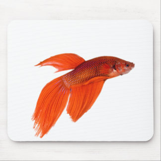 Orange Japanese Fighting Siamese Betta Fish Mousepad
