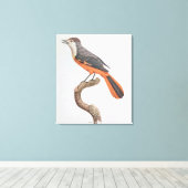 Orange Jay Leinwanddruck (Insitu (Holzboden))