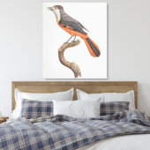 Orange Jay Leinwanddruck (Insitu (Schlafzimmer))