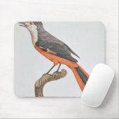 Orange Jay Mousepad (Mit Mouse)
