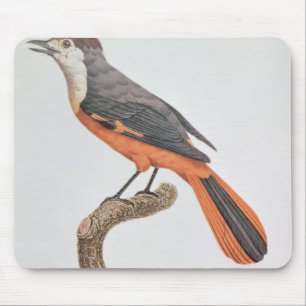 Orange Jay Mousepad