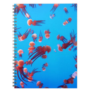ORANGE JELLY FISH NOTIZBLOCK