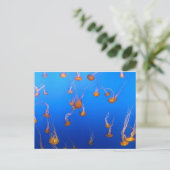 Orange Jellyfish Postkarte (Stehend Vorderseite)