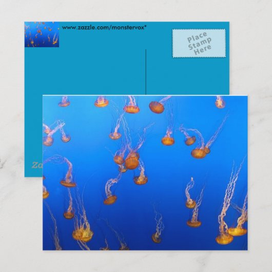 Orange Jellyfish Postkarte (Vorne/Hinten)
