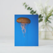 Orange Jellyfish Postkarte (Stehend Vorderseite)