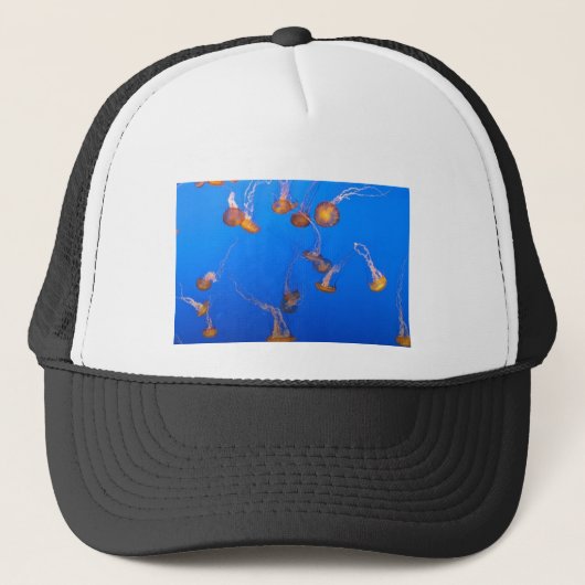 Orange Jellyfish Truckerkappe (Vorderseite)