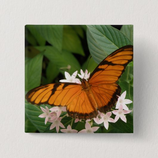 Orange Julia Butterfly Button (Vorderseite)
