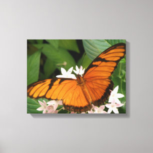 Orange Julia Butterfly Canvas Print Leinwanddruck