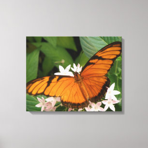 Orange Julia Butterfly Canvas Print Leinwanddruck