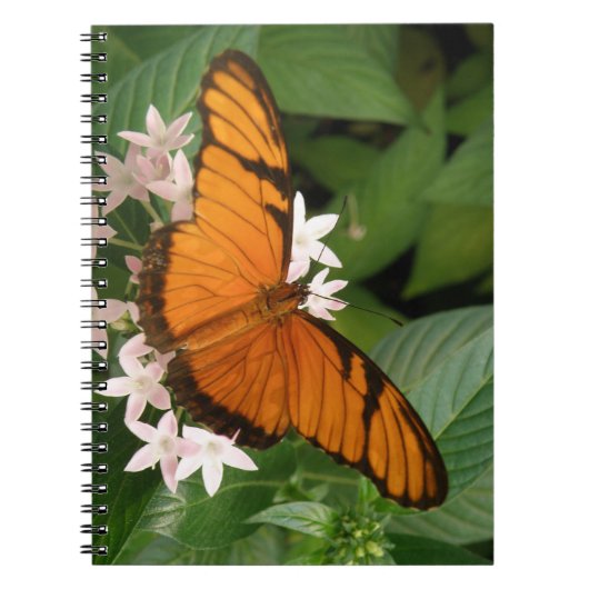 Orange Julia Butterfly-Notebook Notizblock (Vorderseite)